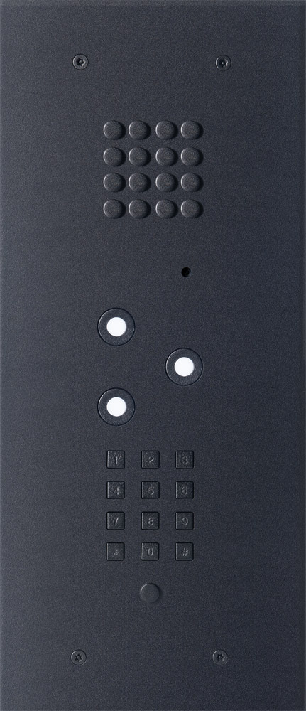 Wizard Bronze Black 3 buttons small keypad and color cam